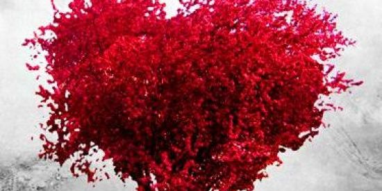 Imagem do grupo de WhatsApp Apaixonados❣️