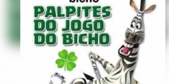 Imagem do grupo de WhatsApp 🧿 Palpites 🍀🍀JB 🍀🍀