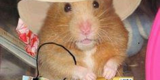 Imagem do grupo de WhatsApp ᴡᴇʙ ᴀᴍɪᴢᴀᴅᴇ/ɴᴀᴍᴏʀᴏ🪐🌙