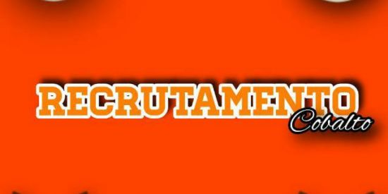 Imagem do grupo de WhatsApp 🦁TRIANGEN