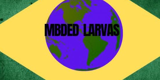 Imagem do grupo de WhatsApp MBDEDoficial movimento🇧🇷BL