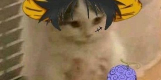 Imagem do grupo de WhatsApp 🗿Demons trickers