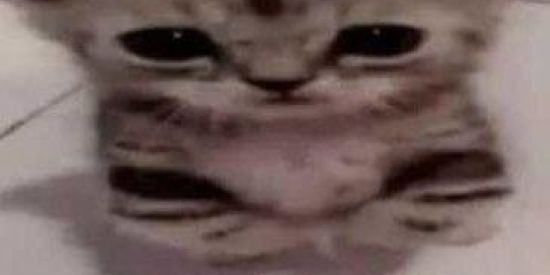 Imagem do grupo de WhatsApp views status e amzds🌎🤍