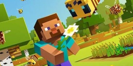 Imagem do grupo de WhatsApp 🎮~{€Minecraft edition¥}~📱