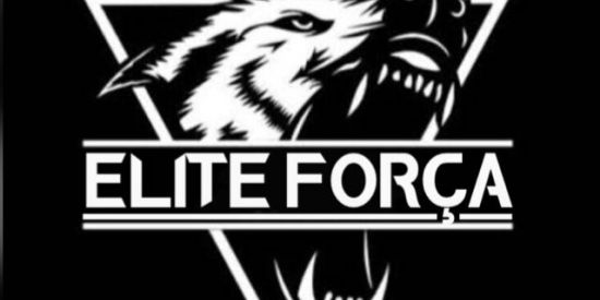 Imagem do grupo de WhatsApp FREE FARE ELITE FORÇA
