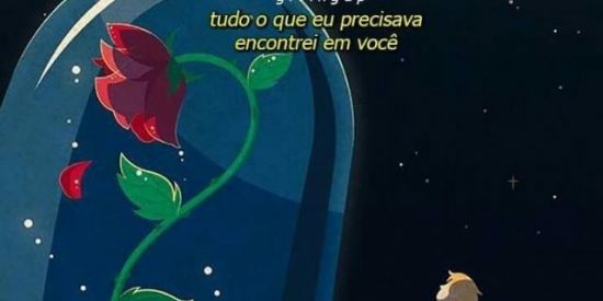 Imagem do grupo de WhatsApp Somente DDD 32 🍂🍁