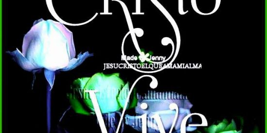 Imagem do grupo de WhatsApp "CRISTO VIVE"