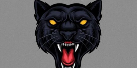 Imagem do grupo de WhatsApp ²♟️🌓PARCERIA 11H🌗♟️