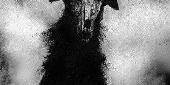 Imagem do grupo de WhatsApp QM N ENTRAR É LGBT 👉🏼👈🏼😔