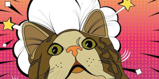 Imagem do grupo de WhatsApp Memes só mds