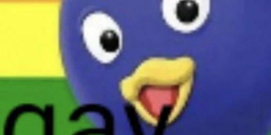 Imagem do grupo de WhatsApp Boate gay