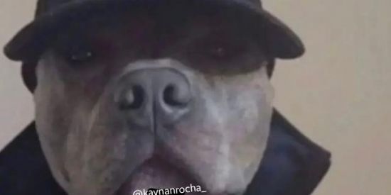 Imagem do grupo de WhatsApp SHITPOST (CONTEÚDO)