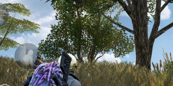 Imagem do grupo de WhatsApp PUBG NEW STATE DIVULGAÇÃO