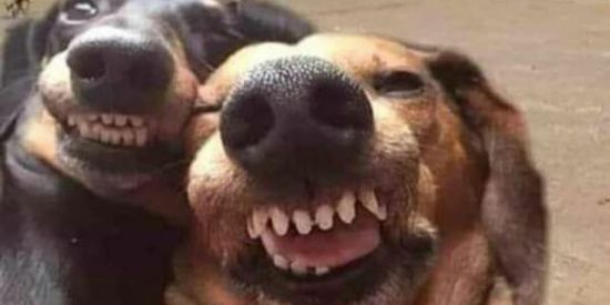 Imagem do grupo de WhatsApp Divulgação!