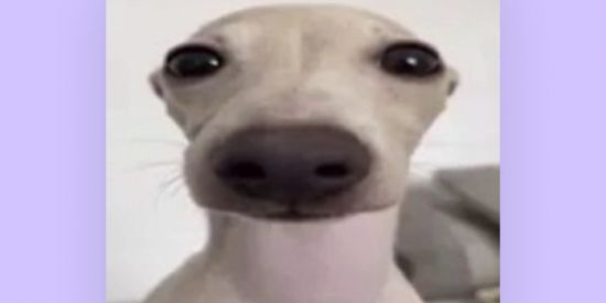 Imagem do grupo de WhatsApp 𝘊𝘢𝘴𝘢 𝘥 𝘧𝘪𝘨𝘶𝘳𝘪𝘯𝘩𝘢