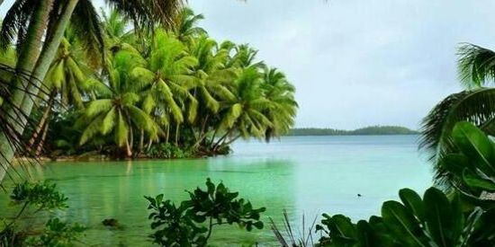 Imagem do grupo de WhatsApp Naufragio RPG OFF