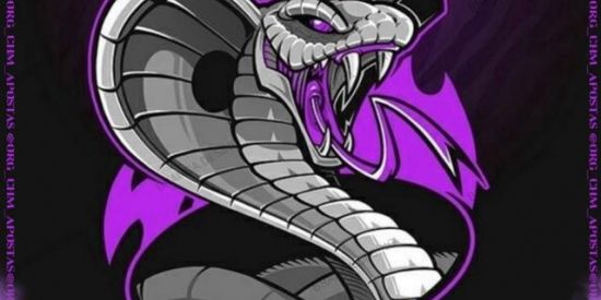 Imagem do grupo de WhatsApp CHM DIVULGAÇÕES #1️⃣