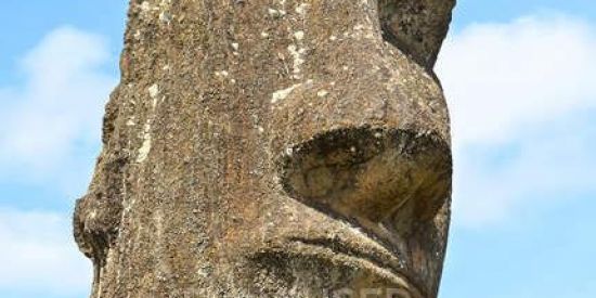 Imagem do grupo de WhatsApp TROPA DO SENHORES:🗿🍷🍷🍷