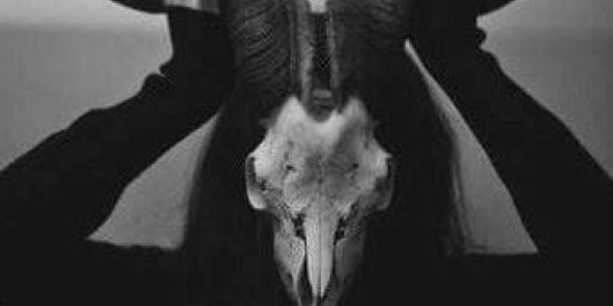 Imagem do grupo de WhatsApp Trupe Fantasma