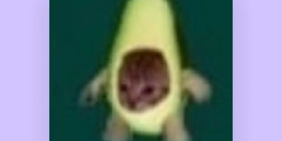 Imagem do grupo de WhatsApp 11 a 13 🥰anos amizade ou namoro