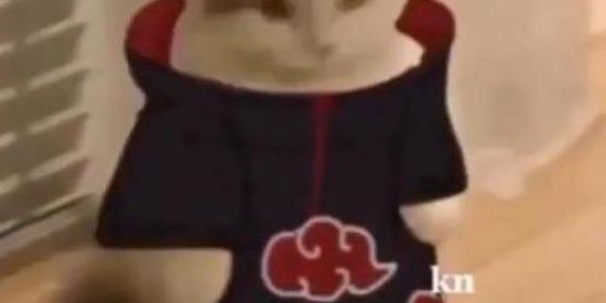 Imagem do grupo de WhatsApp  ☁️⃟ꦿ⸼𝛬𝐌𝑬𝐆𝛬𝐊ᑌ𝐑𝑬⸸ ᭄