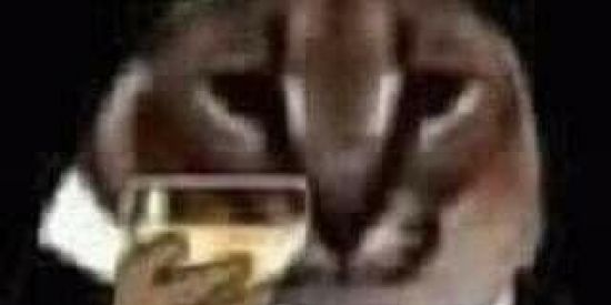 Imagem do grupo de WhatsApp ༒𝐌𝐈𝐑𝐀𝐍𝐇𝐀 𝐃𝐎 𝐒𝐇𝐈𝐓༒