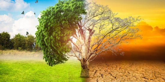 Imagem do grupo de WhatsApp ALT. CLIMÁTICAS