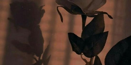 Imagem do grupo de WhatsApp Amigar🖐🏻😝🖐🏻