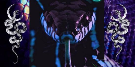 Imagem do grupo de WhatsApp 🐍 𝙳𝙸𝚅𝚄𝙻𝙶𝙰𝙲̧𝙾̃𝙴𝚂 𝚂𝙴𝚁𝙿𝙴𝙽𝚃𝙴𝚂 🐍