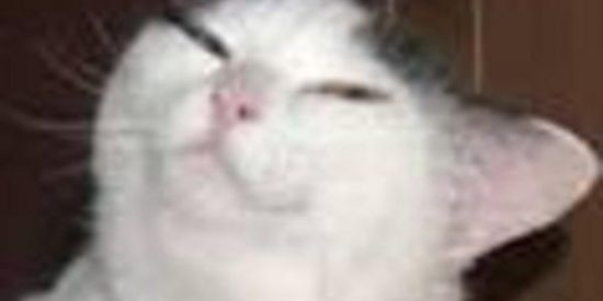 Imagem do grupo de WhatsApp 🇫 🇮 🇬 .ㄥㄖꪊ𝗖𝐀𝐒🎡