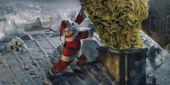 Imagem do grupo de WhatsApp Não vi nada 😎🫣