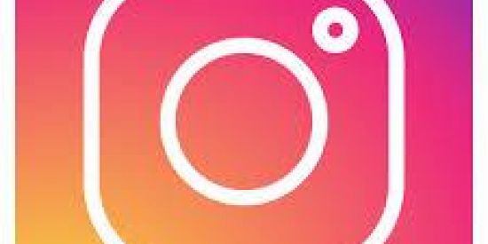 Imagem do grupo de WhatsApp SEGUIDORES PRO INSTA