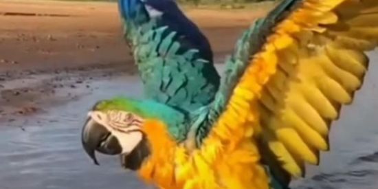 Imagem do grupo de WhatsApp Resistencia da direita💪🏻🌍