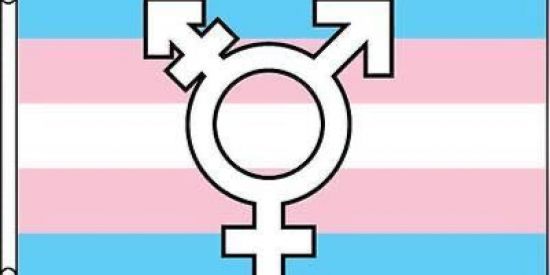 Imagem do grupo de WhatsApp Apoio Transsexual 🏳️‍⚧️🫡