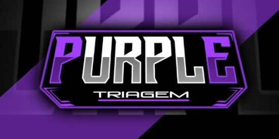 Imagem do grupo de WhatsApp ⁷💜••TRIAGEM PURPLE💜