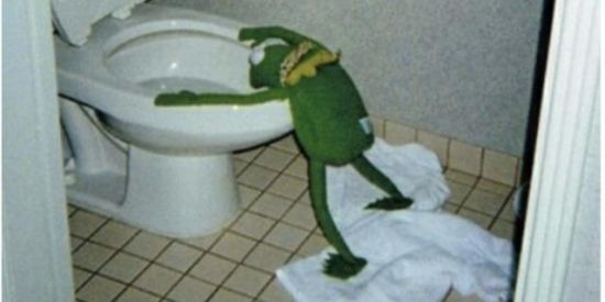 Imagem do grupo de WhatsApp Surto coletivo🦊🐸