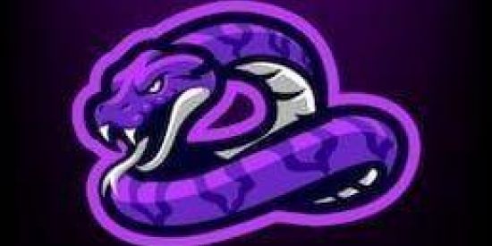 Imagem do grupo de WhatsApp 🐺𝕋𝕣𝕚𝕒𝕘𝕖𝕞-ℙ𝕒𝕟𝕥𝕖𝕣𝕒🐺