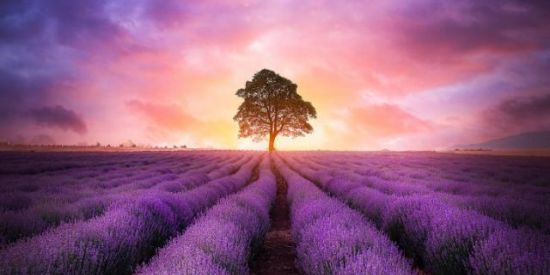 Imagem do grupo de WhatsApp 🌟 ENGAJA INSTA (VIP) 01 🌟