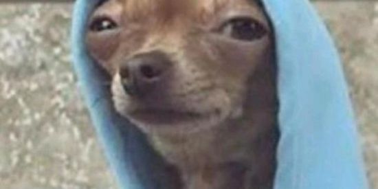 Imagem do grupo de WhatsApp 𝕘𝕣𝕦𝕡𝕠 𝕕𝕠 𝕓𝕒𝕚𝕒𝕟𝕠