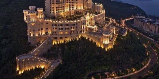 Imagem do grupo de WhatsApp ┈─ 𝒗𝒊𝒅𝒂 𝒅𝒐𝒔 𝒇𝒂𝒎𝒐𝒔𝒐𝒔 ◌🍷✨