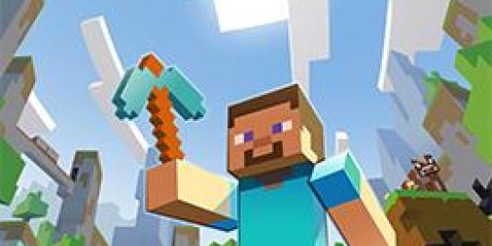 Imagem do grupo de WhatsApp Server Minecraft