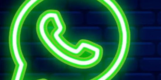 Imagem do grupo de WhatsApp Divulgue aqui✅️