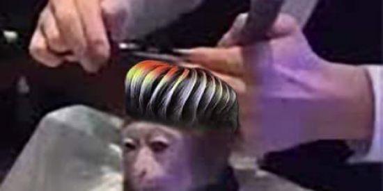 Imagem do grupo de WhatsApp øɍǥɨȺ đɇ mȺȼȺȼø 2.0