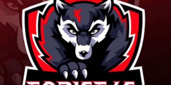 Imagem do grupo de WhatsApp X-treino TOPIST4S