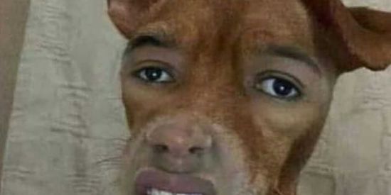 Imagem do grupo de WhatsApp grupo dos loucos 24 horas 👺🤡🦐