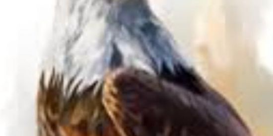 Imagem do grupo de WhatsApp Jogos Online