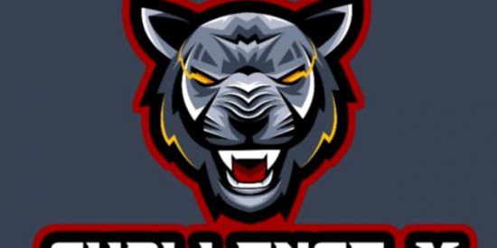 Imagem do grupo de WhatsApp Grupo Da Guilda FF Challenge X 🔫💎