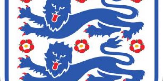 Imagem do grupo de WhatsApp 🤡🤡TRETA ONLINE 🤡🤡