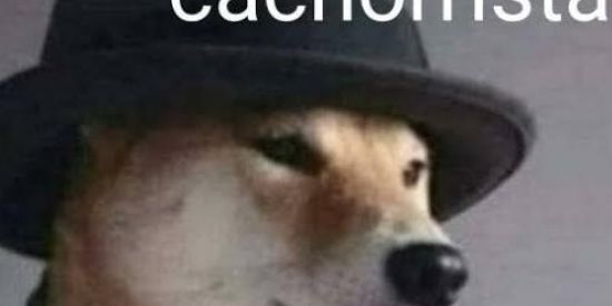 Imagem do grupo de WhatsApp Os cria 🔥💥