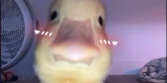 Imagem do grupo de WhatsApp Web amizades 0.1